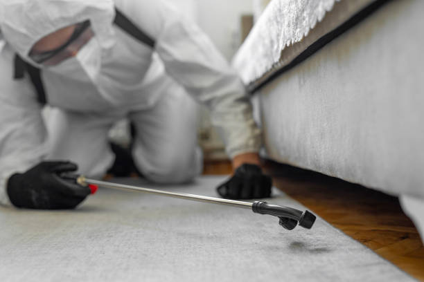Professional Cockroach Control technician working in Luxemburg, WI